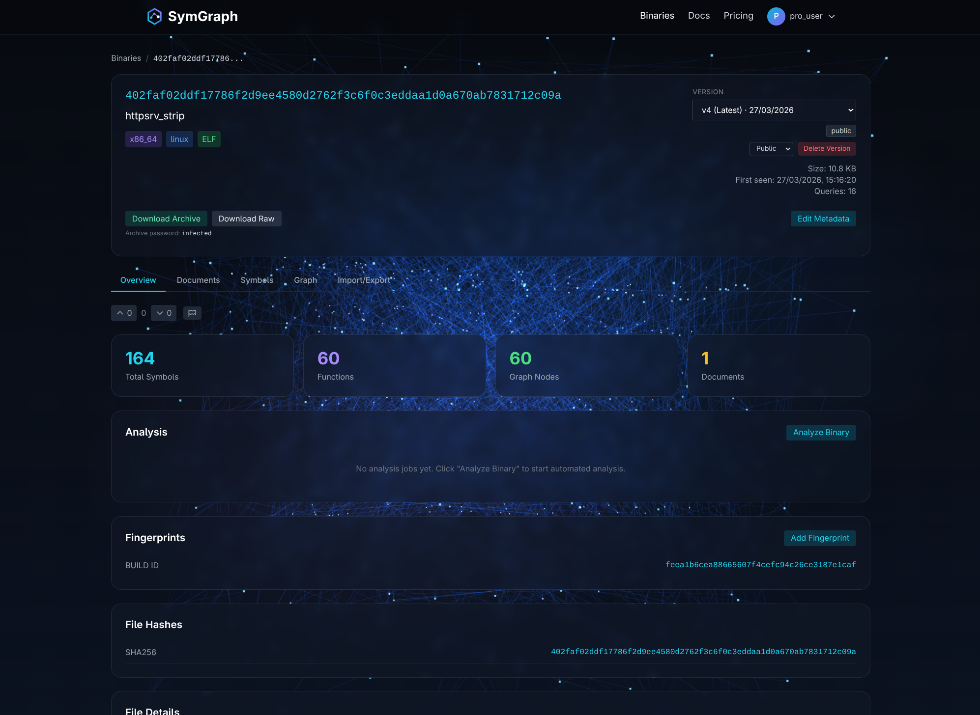 SymGraph binary details overview